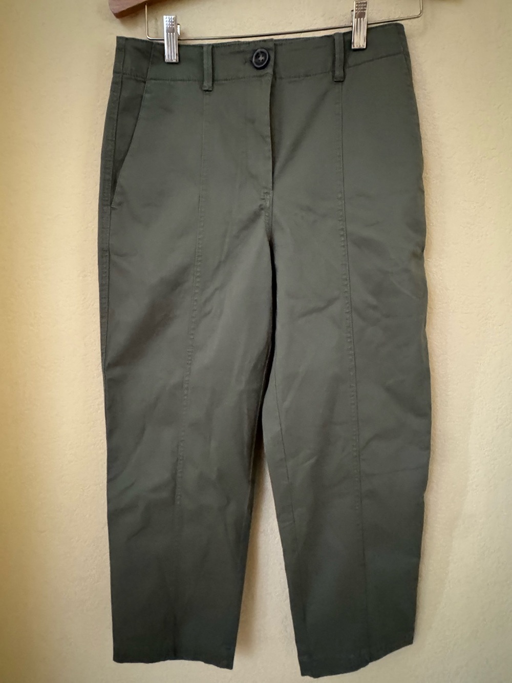 Ann Taylor Weekend Army Green Pants Size 4 Petite NEW